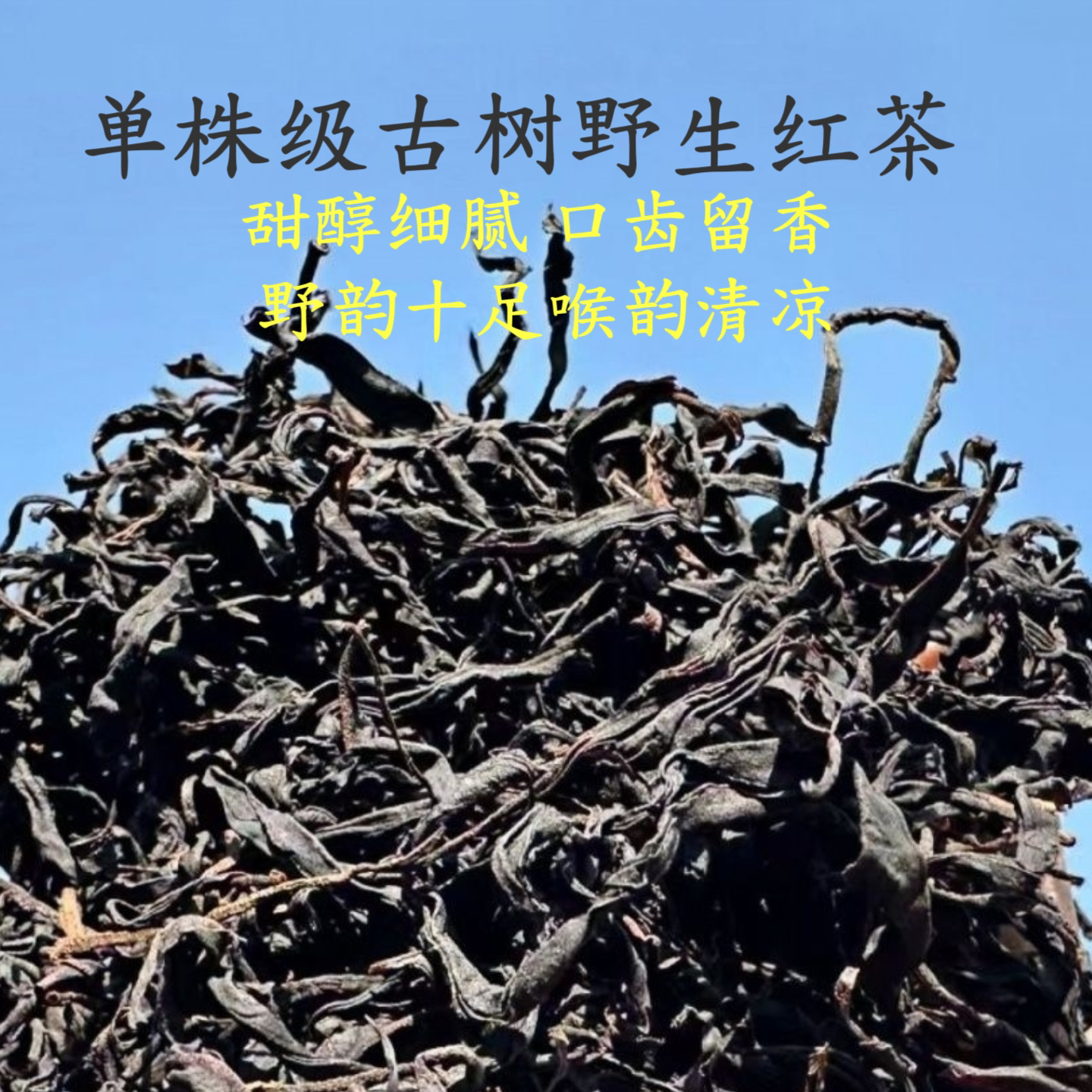 2026古树野生红茶100克云南滇红茶单株级古树晒红花果蜜香茶叶