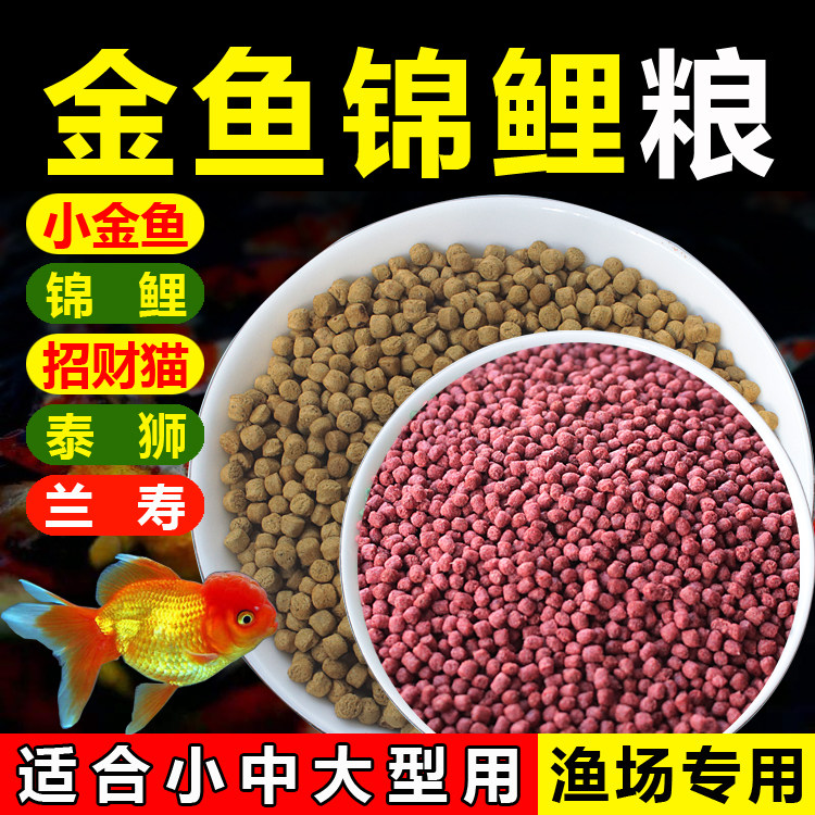 金鱼锦鲤饲料淡水高蛋白