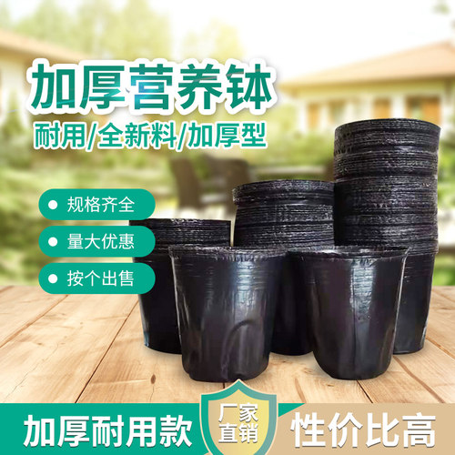 营养钵育苗杯花盆育苗杯黑色加厚