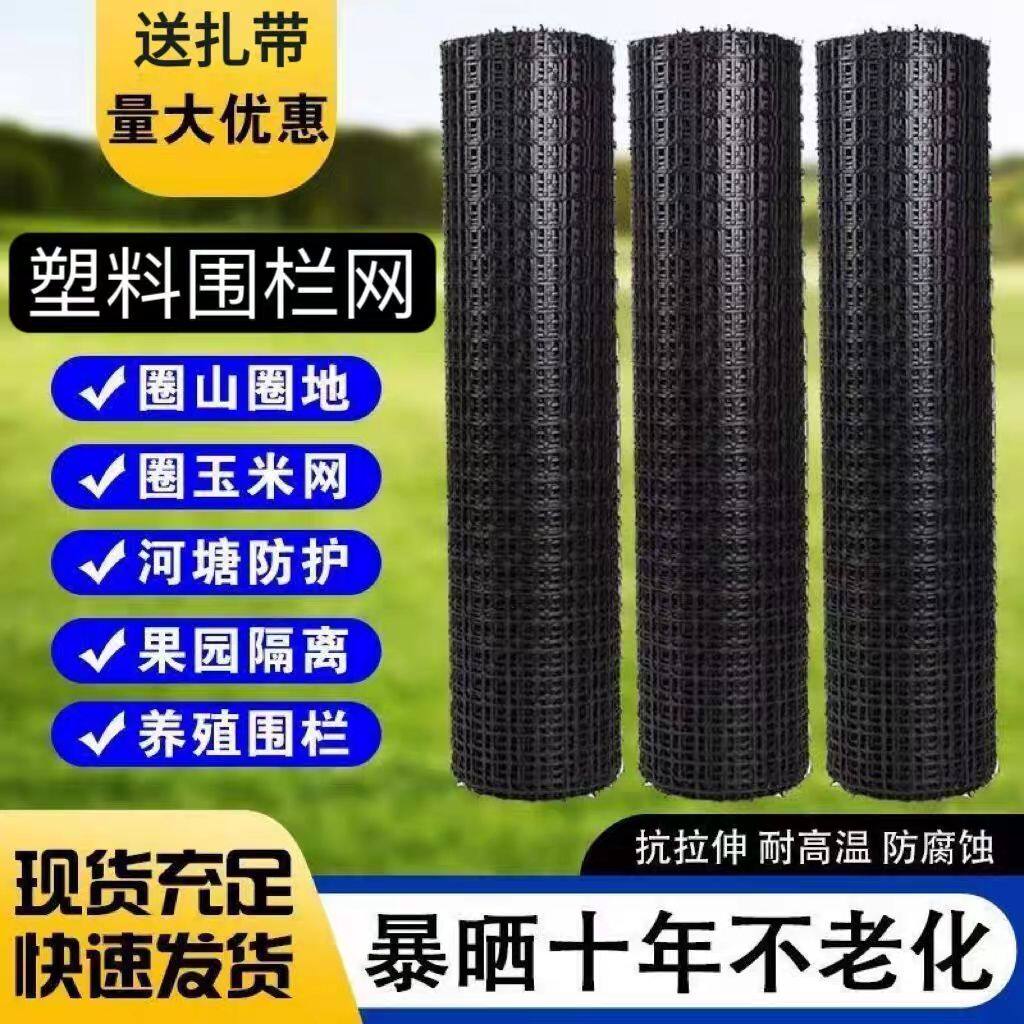 塑料围栏网加厚特厚鸡鸭