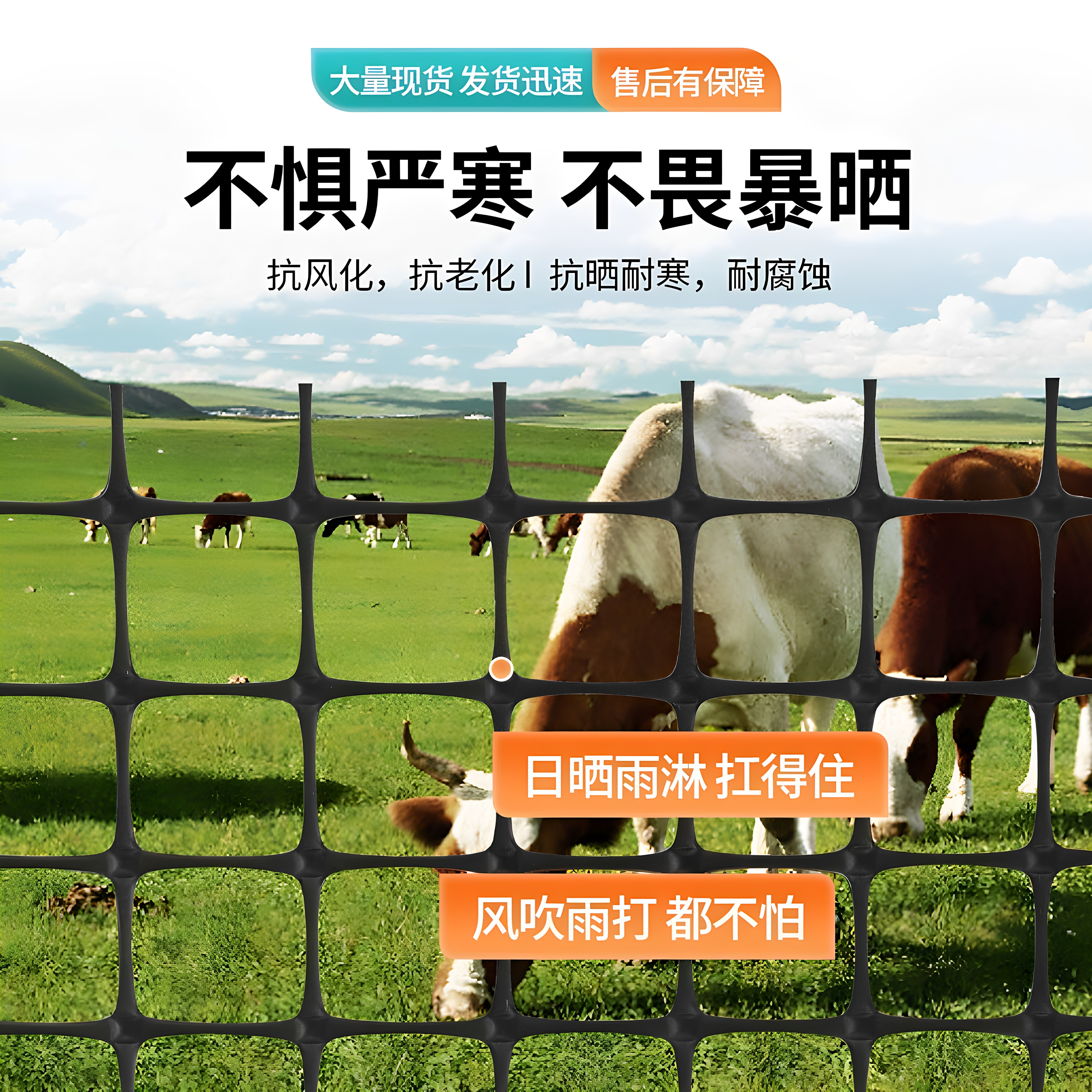 塑料网加厚特厚养殖网果园养鸡围栏网圈玉米塑料网加厚苗床铺垫网