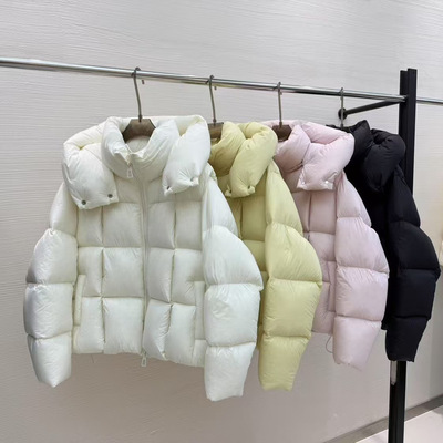 欧货2025冬季新款90鹅绒羽绒服女