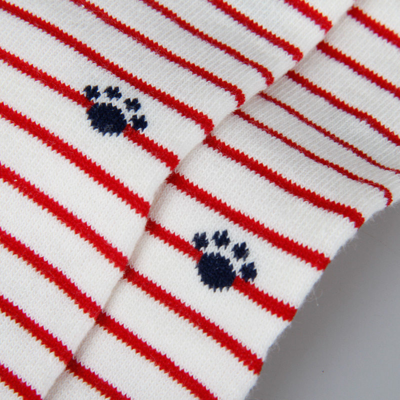 Chaussettes - collants GC006 - Ref 778480 Image 5