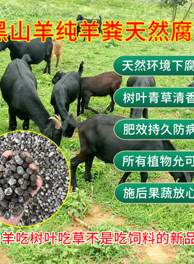 踏实来旺有机肥纯羊粪颗粒粉末