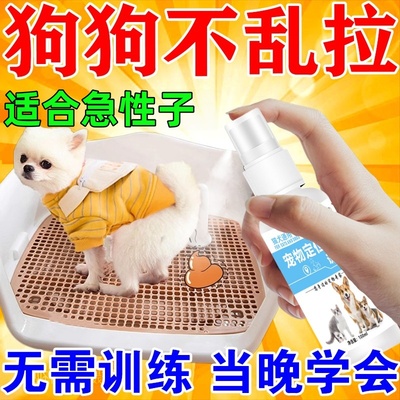 狗狗定点上厕所神器排便诱导剂狗厕所尿垫专用引导宠物上厕所神器