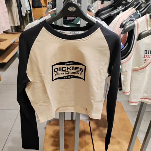 Dickies2025秋季新款 女士修身版型长袖T恤  DK0A88BJ