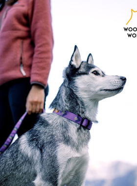 【现货】北极光项圈胸背牵引 北欧woolly wolf环保可调节 petisan