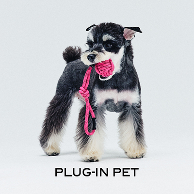PLUG-IN PET 啃咬拔河玩具绳结球 Petisan