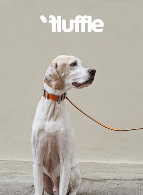 fluffle 巴洛克复古拼色柔软意大利小牛皮项圈牵引 petisan