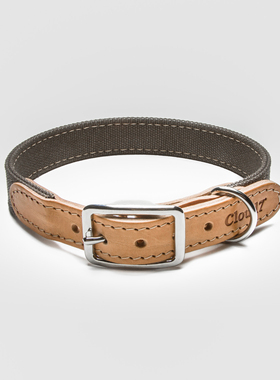 Tivoli项圈 德国进口CLoud7手工帆布牛皮革户外运动宠物 petisan