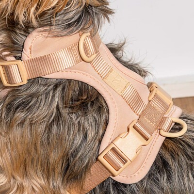 断码捡漏胸背带WildOne调节柔软