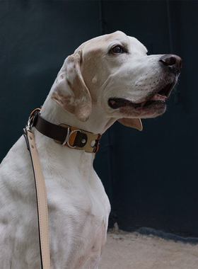 vafa宠物狗狗项圈fluffle 巴洛克镂空复古风意大利小牛皮 petisan