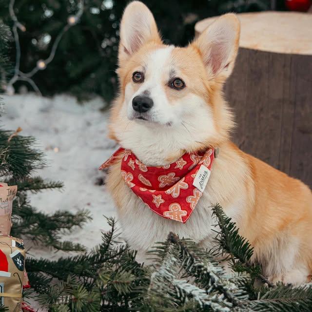 ThePaws巴厘岛三角宠物口水巾猫狗印花方巾装扮petisan