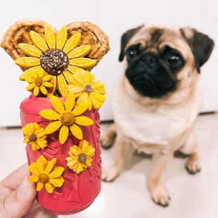 漏食玩具 美国sodapup狗狗猫咪橡胶耐咬可乐罐 消耗精力petisan