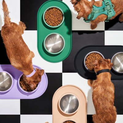 防滑硅胶餐垫 Wildone美国 防打翻易清洁小中大型犬通用petisan