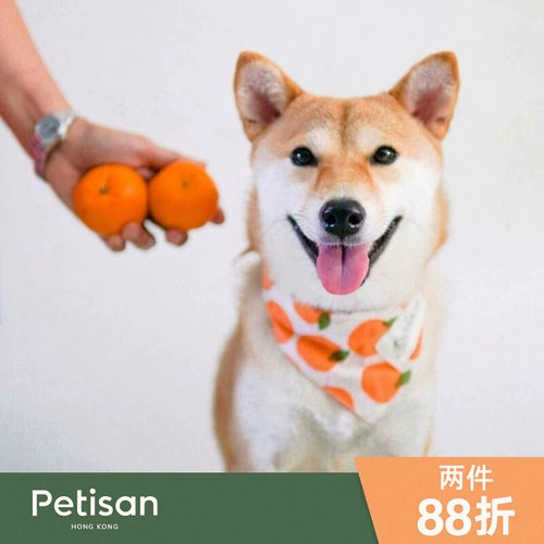 Слюнявчик, импортный шарф, нагрудник