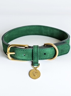 蒂尔加滕项圈 德国进口cloud7宠物牛皮狗狗 手工制作petisan