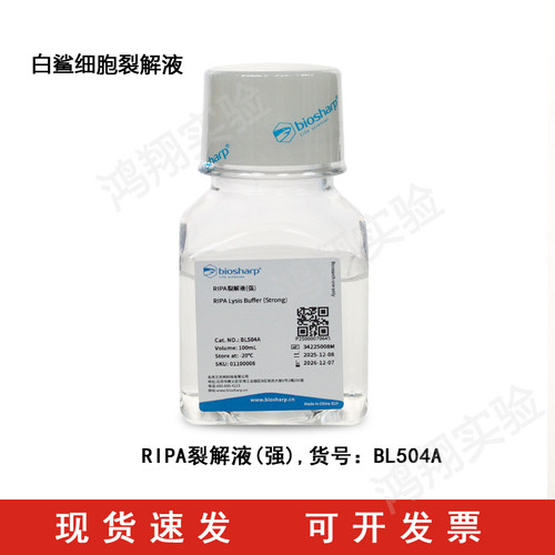 白鲨Biosharp BL504A RIPA裂解液(强),细胞裂解液,细胞组织裂解液