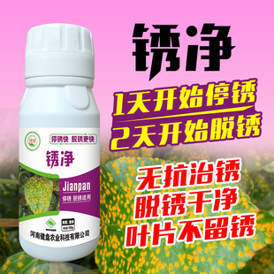 梨树锈病专用药玉米小麦大蒜大葱豆角辣椒锈病药梨树病菌清菌剂
