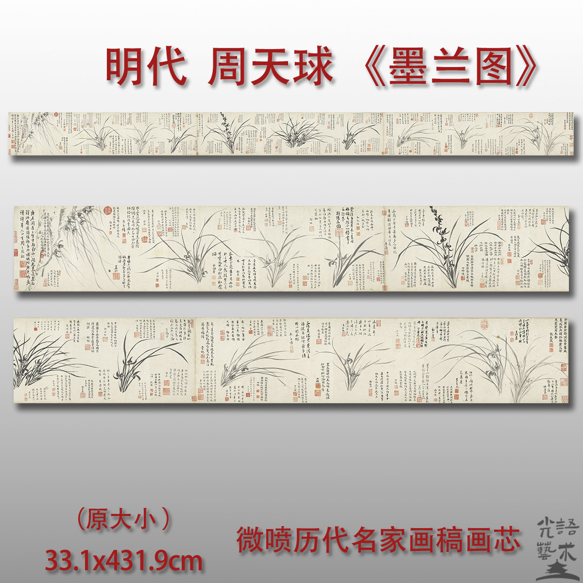 周天球墨兰图明代兰花图