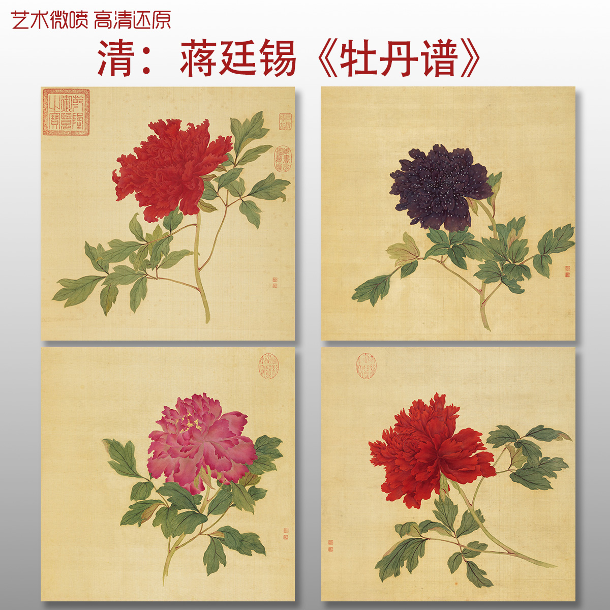 清蒋廷锡牡丹谱传统花卉国画复制品高清艺术微喷绢本临摹画心装饰图片
