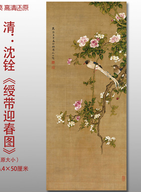 清代沈铨绶带迎春图传统工笔花鸟图微喷打印绢本画心临摹范本画稿