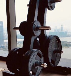 泰诺健Technogym 杠铃架哑铃架杠铃片架子健身器材