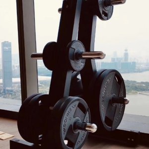 泰诺健Technogym 杠铃架哑铃架杠铃片架子健身器材