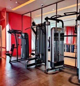 泰诺健Technogym 家用健身房大型多功能力量小飞鸟大飞鸟龙门架