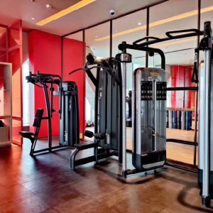 泰诺健Technogym 家用健身房大型多功能力量小飞鸟大飞鸟龙门架