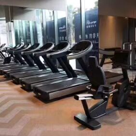 泰诺健意大利静音电动商用