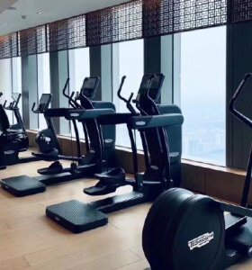 Technogym泰诺健 家用健身房大型单功能太空漫步机包邮全国联保