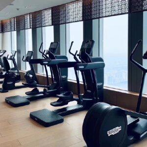 technogym踏步机家用健身器材