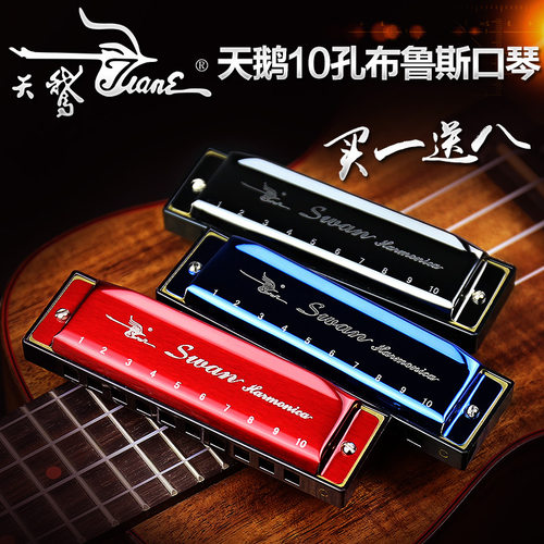 天鹅10孔布鲁斯口琴C调儿童