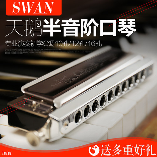天鹅初学演奏sw1248半音阶口琴