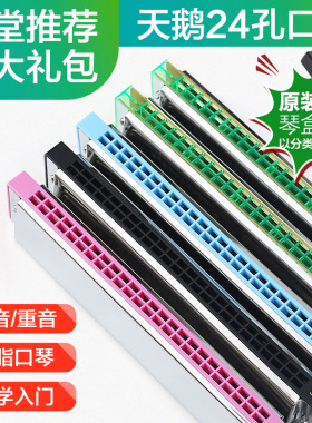 天鹅口琴初学者学生24孔入门儿童复音成人专业重音C调口风琴乐器