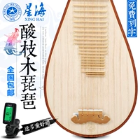 Bắc Kinh Xinghai instrument nhạc cụ Aussie Dalbergia kiểm tra tài liệu chuyên nghiệp chơi gỗ hồng mộc trưởng thành 琵琶 8914 - Nhạc cụ dân tộc sáo inox