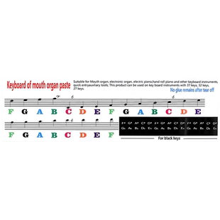 口风琴键盘贴27键32键37键适用天鹅奇美铃木学生简谱辅助贴纸配件