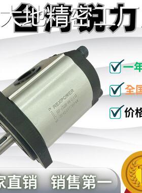 新品可开票对公台湾锐力REXPOWE轮泵RGP-F314R F316R F319RR原装
