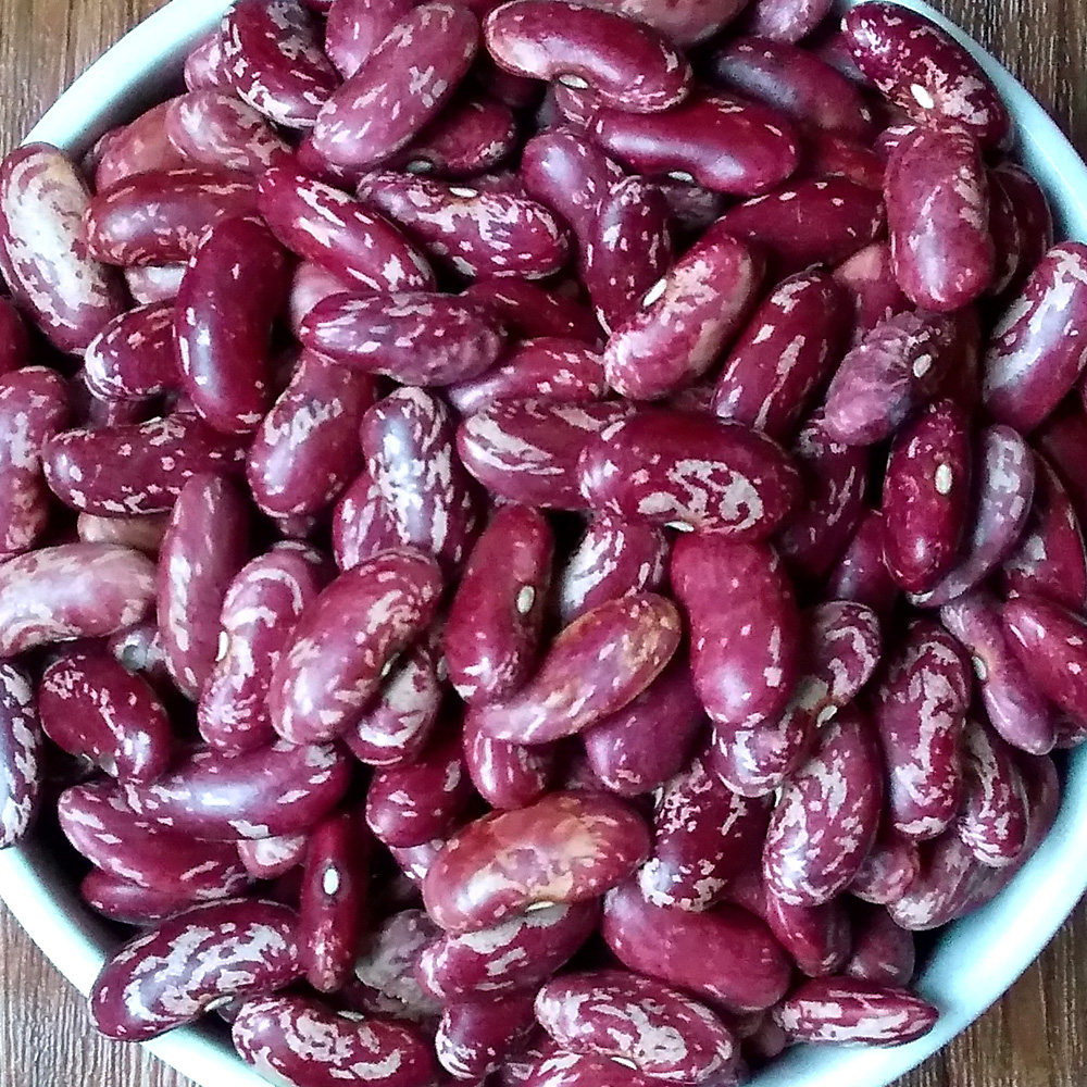 贵州花豆红芸豆大红豆红腰豆农家自种贵州 五谷杂粮贵州花豆500克