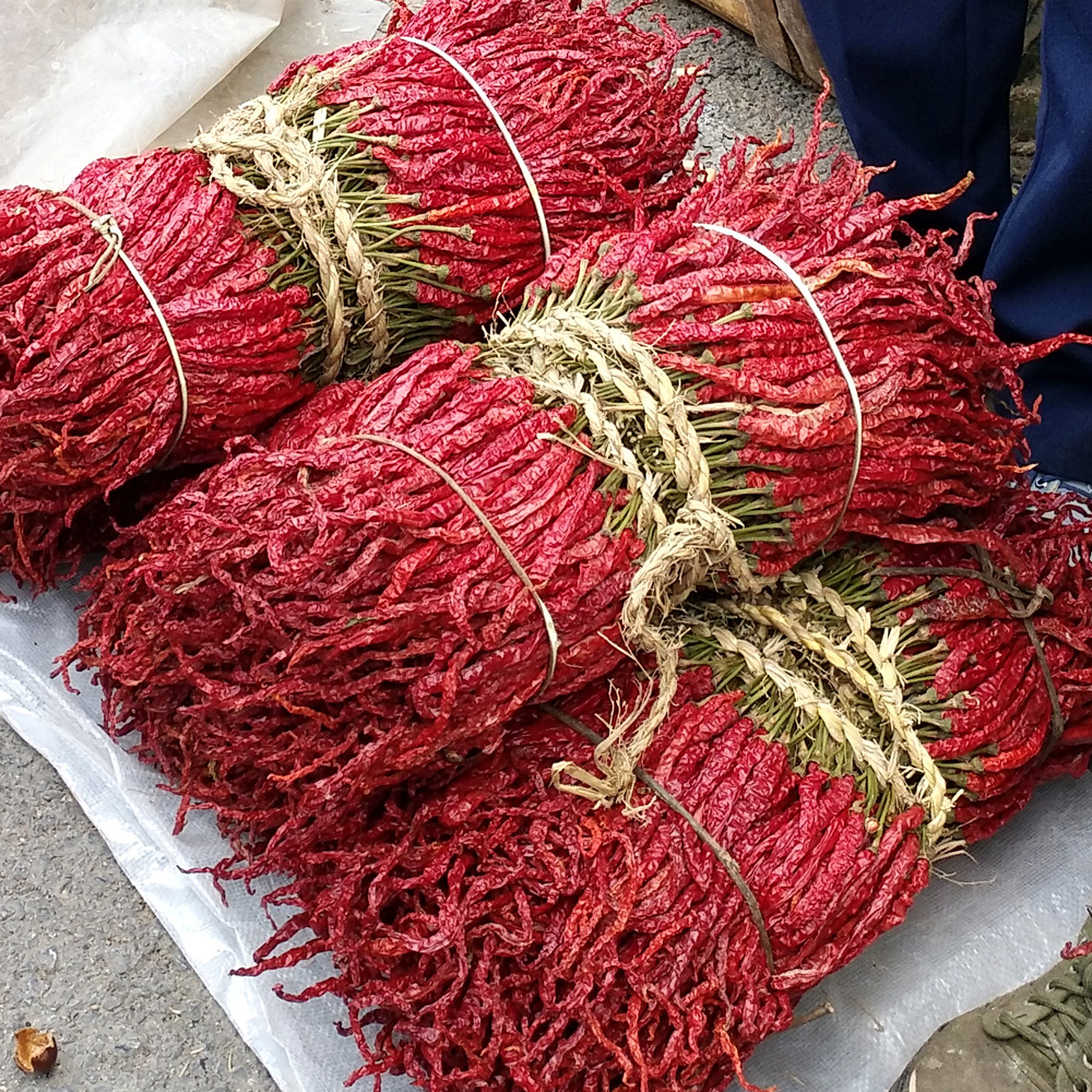 干辣椒贵州大方二荆条大方皱椒