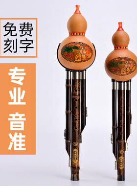 七孔天然紫竹葫芦丝c调专业降b调f调g调A调小d调初学小学生儿童