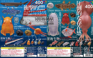 深海生物冰箱贴&吊饰扭蛋 第2弹 立体大图鉴模型 IKIMON 日本正版