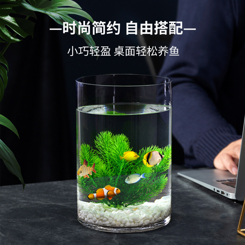 出口定制超白加厚玻璃鱼缸客厅家用桌面生态圆柱形水培金鱼缸直筒