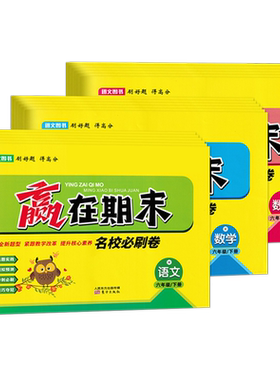2024春小学赢在期末大试卷语文数学一二三四五六下册人教版苏教版练习册期末模拟综合测试卷真题演练小学同步期末冲刺100分