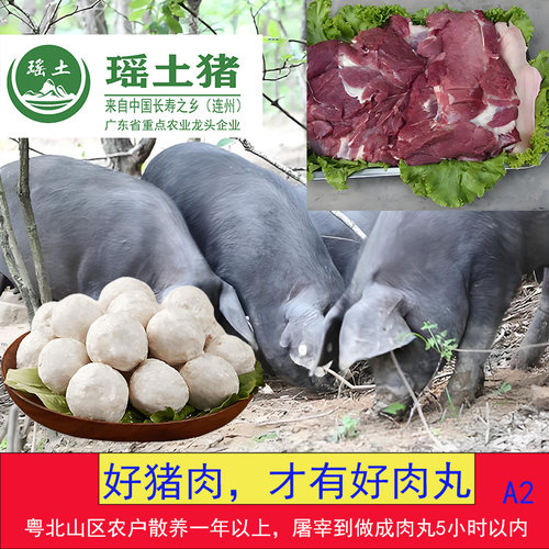 瑶土黑猪鲜肉丸小孩孕妇放心吃