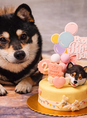 宠物蛋糕送手绘头像狗狗生日顺丰包邮喵汪厨房 柯基比熊泰迪