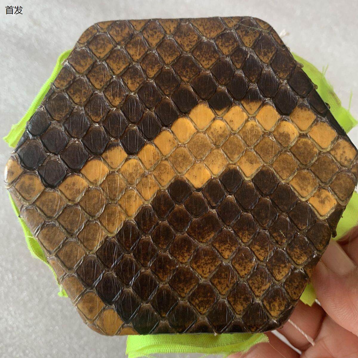 二胡琴皮蟒皮 二胡专用手工蒙皮 六角二胡用皮 尾部脊背皮 实物图