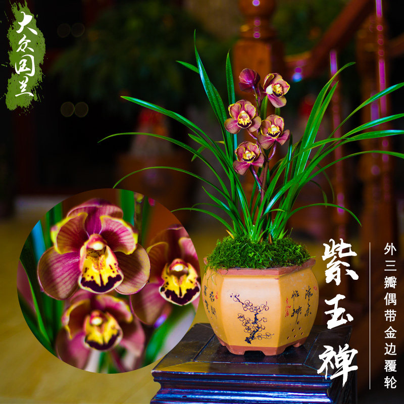 网友分享在meiguo.com的图片