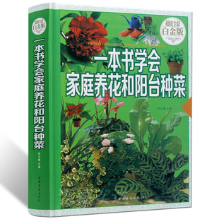 正 包邮 手把手教你阳台种菜家庭种菜书绿色蔬菜种菜 家庭养花和阳台种菜 书学习种菜sl 在阳台上种菜 精装 养花入门 一本书学会 版
